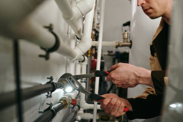 Best Clogged Drain Plumber  in Roman Forest, TX