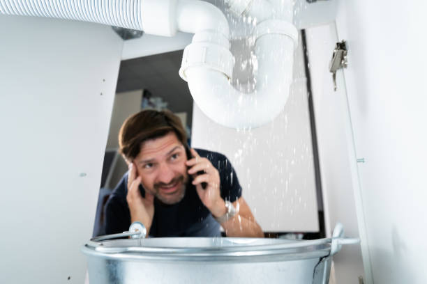 Best Plumbing Services Near Me  in Roman Forest, TX