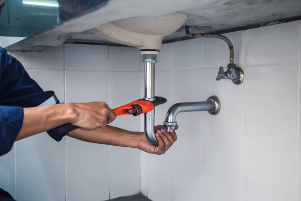 Best Local Plumber Services  in Roman Forest, TX