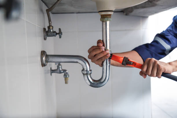 Best Drain Cleaning Services  in Roman Forest, TX